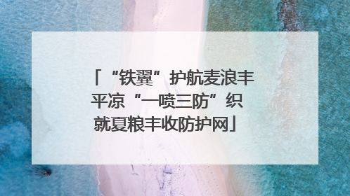 “铁翼”护航麦浪丰 平凉“一喷三防”织就夏粮丰收防护网