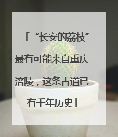 “长安的荔枝”最有可能来自重庆涪陵，这条古道已有千年历史