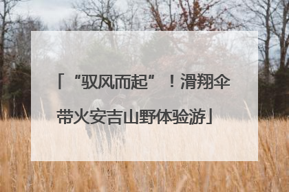 “驭风而起”！滑翔伞带火安吉山野体验游