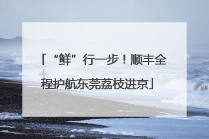 “鲜”行一步！顺丰全程护航东莞荔枝进京