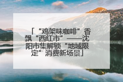 “鸡架味咖啡”香飘“西红市”——沈阳市集解锁“地域限定”消费新场景