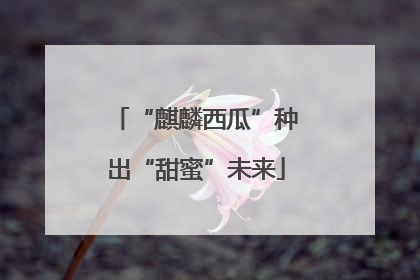 “麒麟西瓜”种出“甜蜜”未来