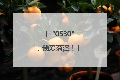 “0530”，我爱菏泽！