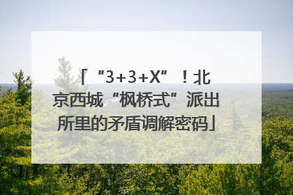 “3+3+X”！北京西城“枫桥式”派出所里的矛盾调解密码
