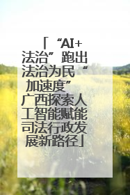 “AI+法治”跑出法治为民“加速度” 广西探索人工智能赋能司法行政发展新路径