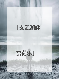 玄武湖畔赏荷乐
