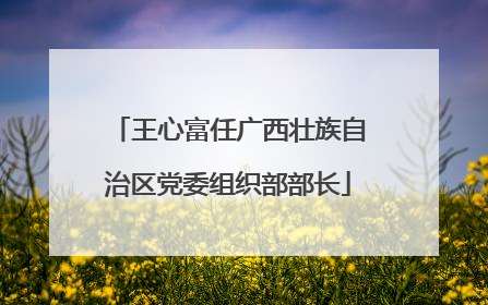 王心富任广西壮族自治区党委组织部部长