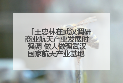 王忠林在武汉调研商业航天产业发展时强调 做大做强武汉国家航天产业基地 打造具有全国影响力的“中国星谷”