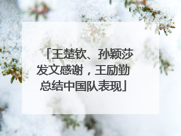 王楚钦、孙颖莎发文感谢，王励勤总结中国队表现