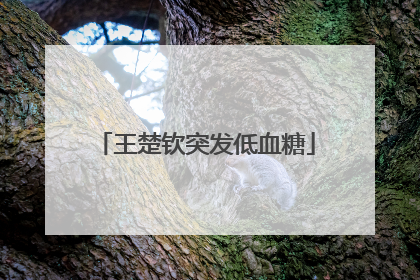 王楚钦突发低血糖
