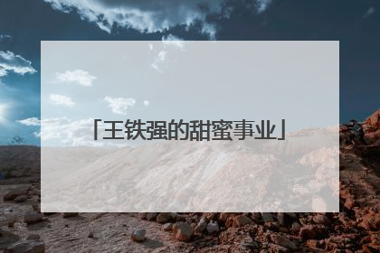 王铁强的甜蜜事业