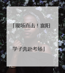 现场直击！襄阳学子奔赴考场