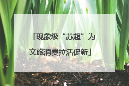现象级“苏超”为文旅消费拉活促新