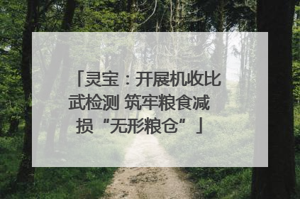 灵宝：开展机收比武检测 筑牢粮食减损“无形粮仓”