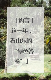 灼言丨这一年，看山东的“绿色答卷”