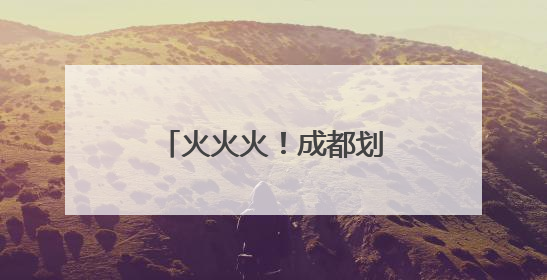 火火火！成都划龙舟霸屏热搜→