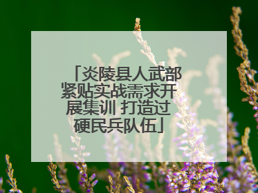 炎陵县人武部紧贴实战需求开展集训 打造过硬民兵队伍