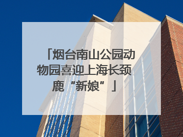 烟台南山公园动物园喜迎上海长颈鹿“新娘”