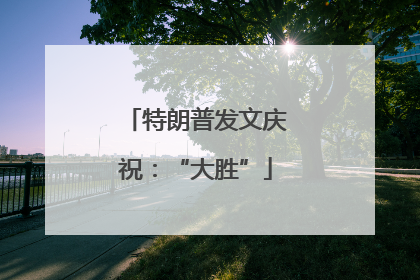 特朗普发文庆祝：“大胜”