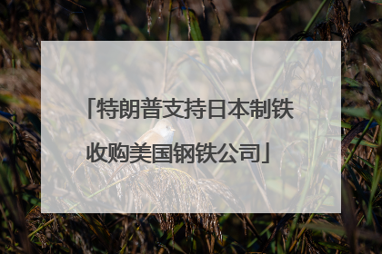 特朗普支持日本制铁收购美国钢铁公司