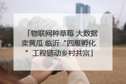物联网种草莓 大数据卖黄瓜 临沂“四雁孵化”工程链动乡村共富