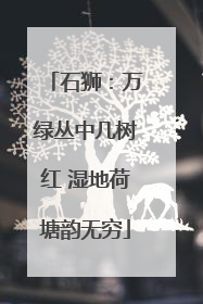 石狮：万绿丛中几树红 湿地荷塘韵无穷
