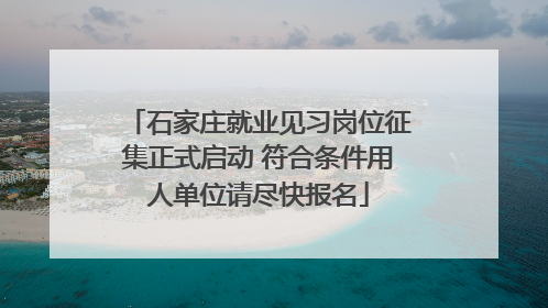 石家庄就业见习岗位征集正式启动 符合条件用人单位请尽快报名