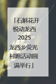 石斛花开 悦动龙西 2025龙西乡荧光村跑活动圆满举行