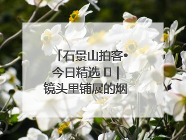 石景山拍客•今日精选 ㉓｜镜头里铺展的烟火画卷（上）