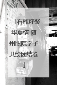 石榴籽聚华夏情 随州职院学子共绘团结卷