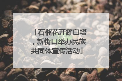 石榴花开耀白塔，新街口举办民族共同体宣传活动