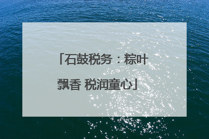石鼓税务：粽叶飘香 税润童心