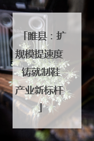 睢县：扩规模提速度 铸就制鞋产业新标杆