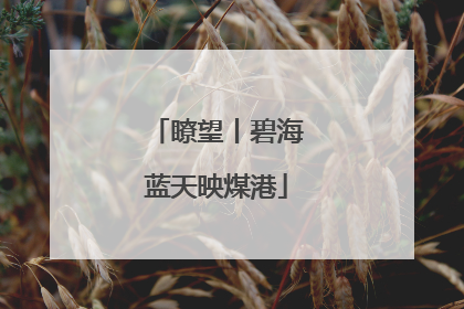瞭望丨碧海蓝天映煤港