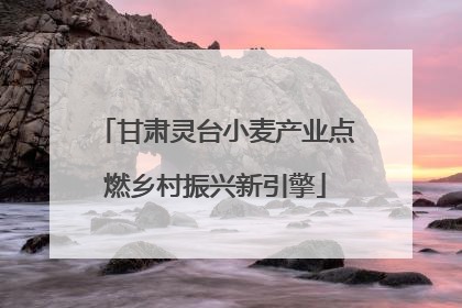 甘肃灵台小麦产业点燃乡村振兴新引擎