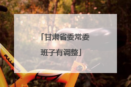 甘肃省委常委班子有调整