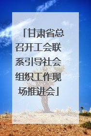 甘肃省总召开工会联系引导社会组织工作现场推进会