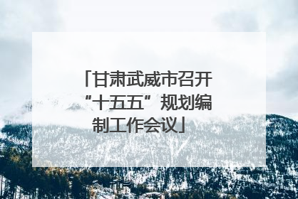 甘肃武威市召开“十五五”规划编制工作会议