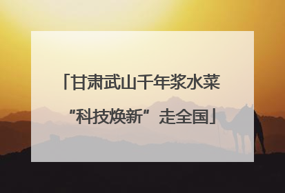 甘肃武山千年浆水菜“科技焕新”走全国