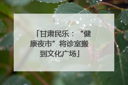甘肃民乐：“健康夜市”将诊室搬到文化广场