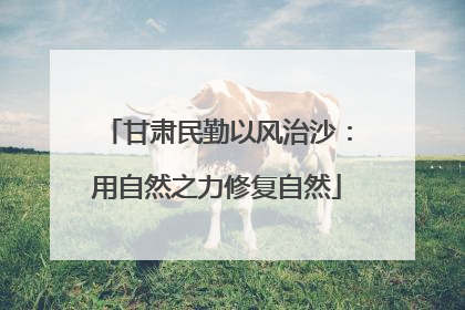 甘肃民勤以风治沙：用自然之力修复自然
