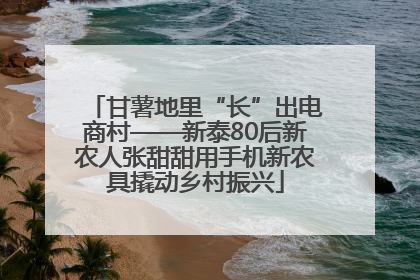 甘薯地里“长”出电商村——新泰80后新农人张甜甜用手机新农具撬动乡村振兴