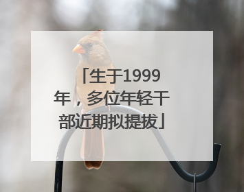 生于1999年，多位年轻干部近期拟提拔