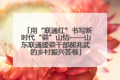 用“联通红”书写新时代“疆”山情——山东联通援疆干部郝兆武的乡村振兴答卷