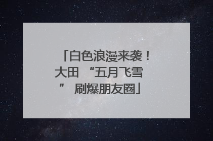 白色浪漫来袭！大田 “五月飞雪” 刷爆朋友圈