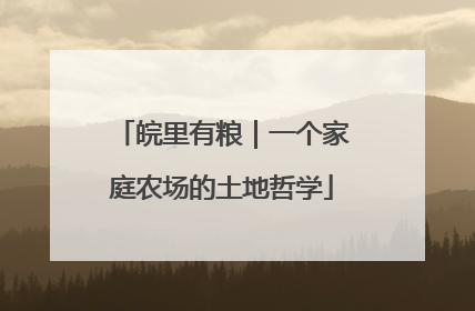 皖里有粮｜一个家庭农场的土地哲学
