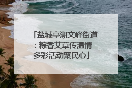 盐城亭湖文峰街道：粽香艾草传温情 多彩活动聚民心
