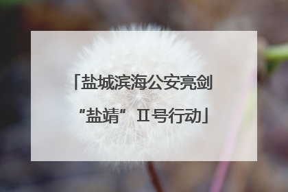 盐城滨海公安亮剑“盐靖”Ⅱ号行动