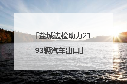 盐城边检助力2193辆汽车出口