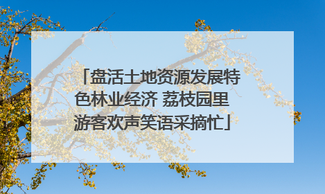 盘活土地资源发展特色林业经济 荔枝园里游客欢声笑语采摘忙
